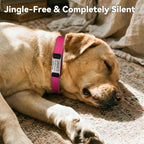 Side profile of hot pink custom dog collar on a medium dog