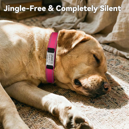 Side profile of hot pink custom dog collar on a medium dog