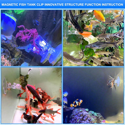 Easy to clean saltwater aquarium seaweed clip underwater view