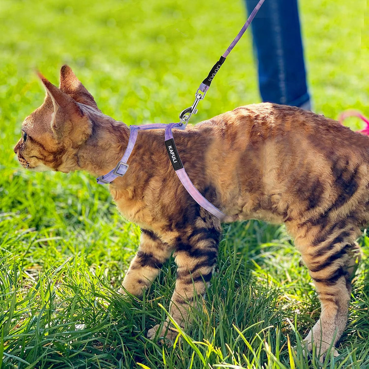 TIESOME gradient purple small pet harness set packaged securely for outdoor walking training.
