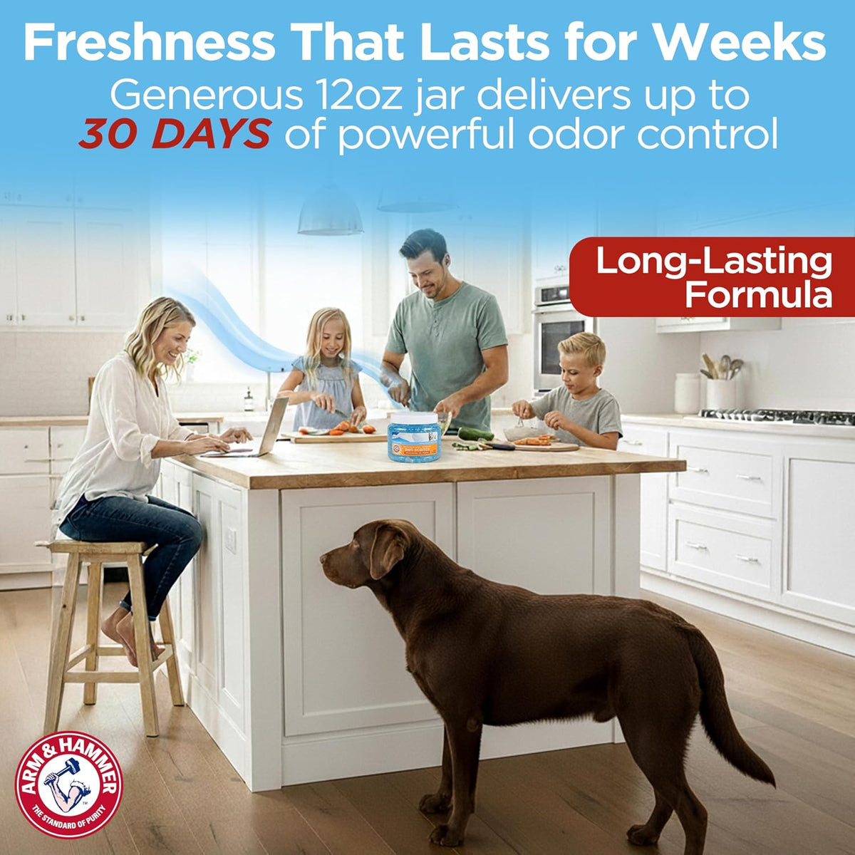 Arm & Hammer for Pets Air Care Pet Scents Deodorizing Gel Beads, Pet Odor Eliminator for Rooms Closets and Small Spaces with Long Lasting Odor Control, Fresh Breeze Scent, 12 oz - Image 9