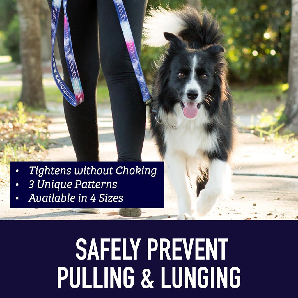 Reflective no pull dog collar by Leash Boss in blanket pattern layout