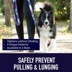Reflective no pull dog collar by Leash Boss in blanket pattern layout