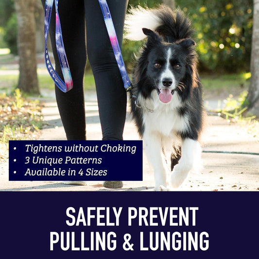 Reflective no pull dog collar by Leash Boss in blanket pattern layout