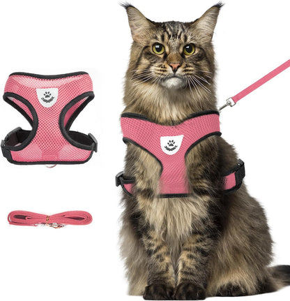Escape proof cat harness with quick snap buckles top view
