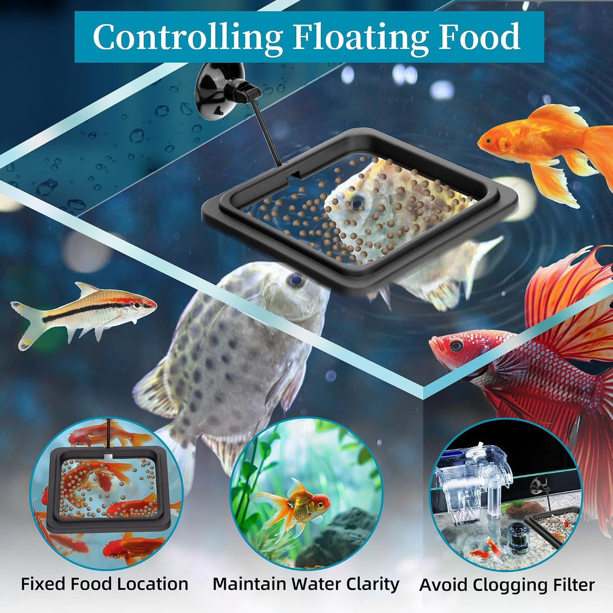 Square fish feeding circle keeping flakes and pellets contained away from the filter current.