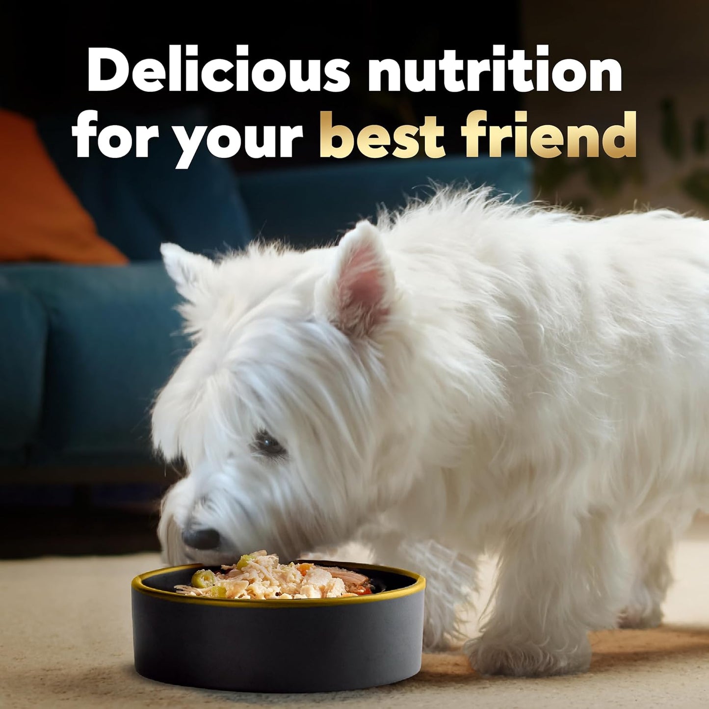 Gourmet wet dog food topper mixed with dry kibble.