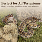 Reindeer and mood moss blend for reptile enclosures