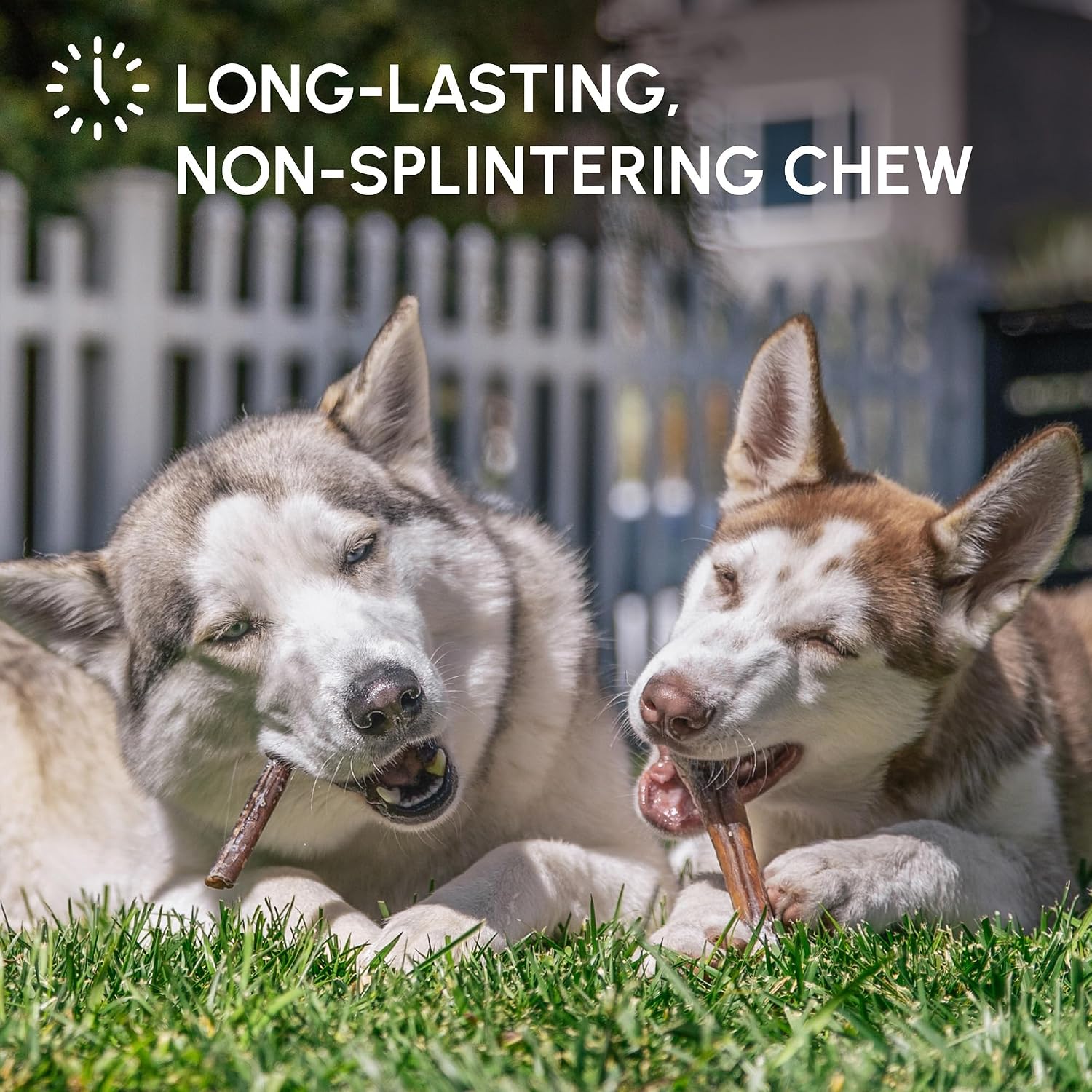 Authentic USA-imported dog dental chews that support teeth cleaning and plaque reduction.