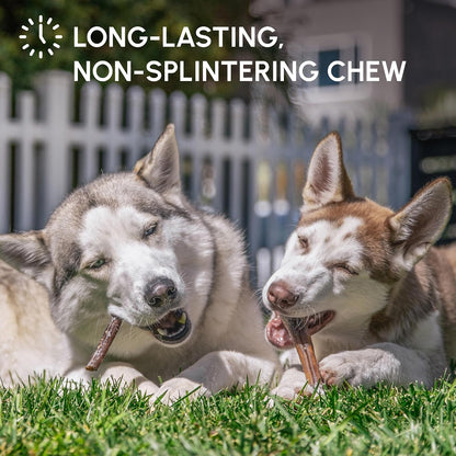 Authentic USA-imported dog dental chews that support teeth cleaning and plaque reduction.