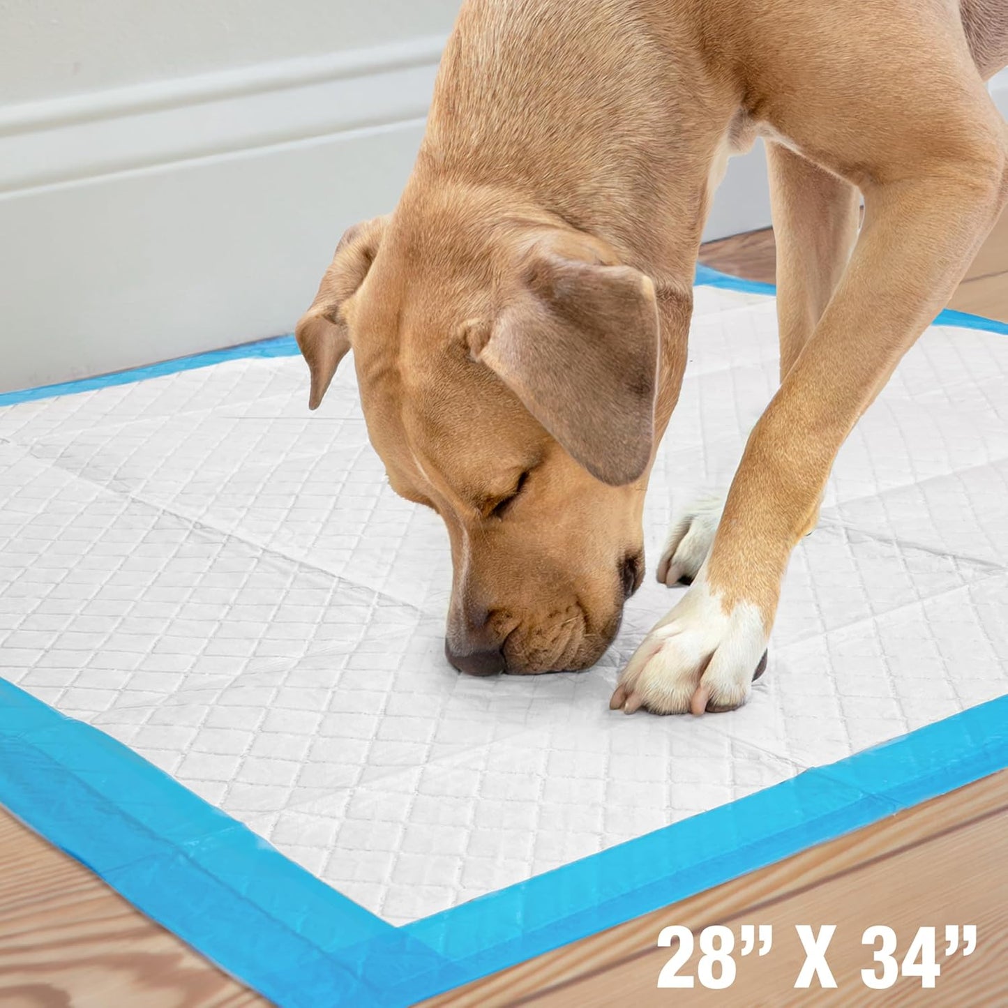 Side view of stacked Four Paws extra-absorbent polymer puppy pads