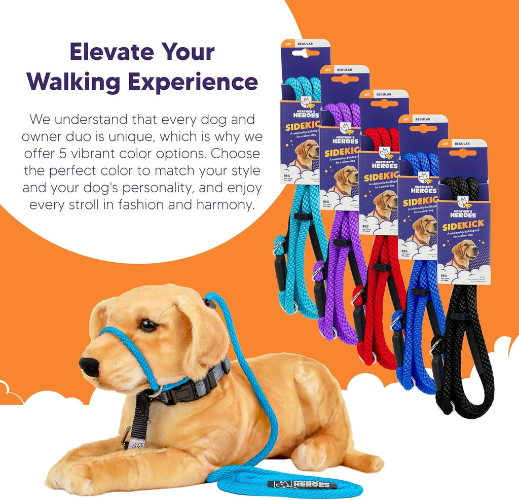 Turquoise Sidekick dog lead for leash reactivity management