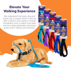 Turquoise Sidekick dog lead for leash reactivity management