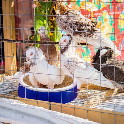 Bird nest pad showing durability and breathability