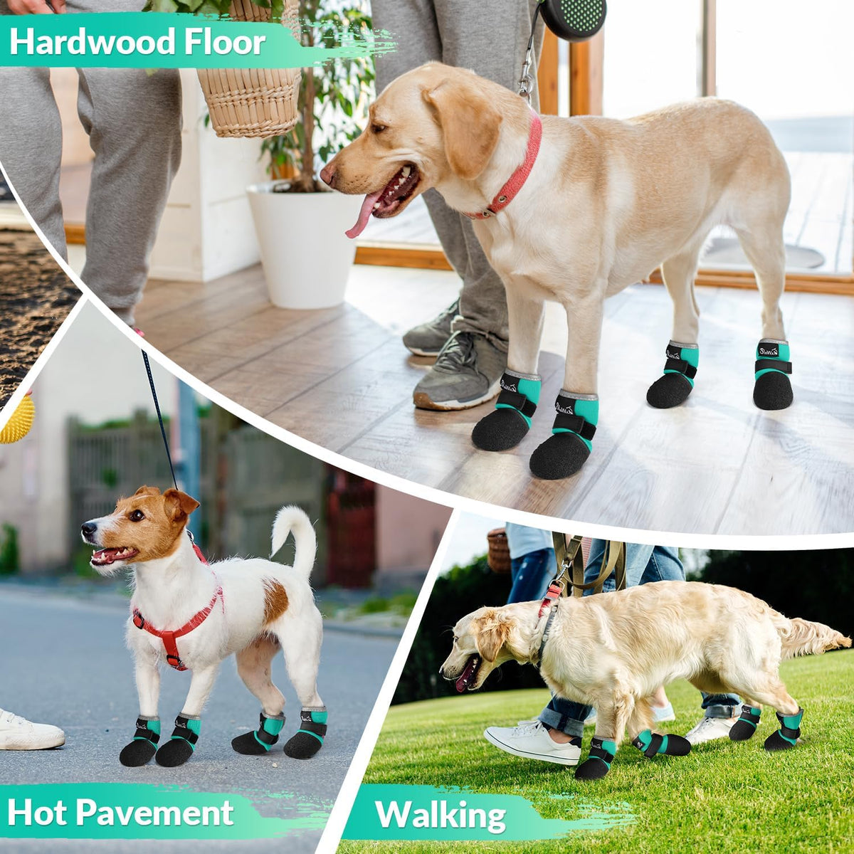 Small dog walking in teal SlowTon sock boots
