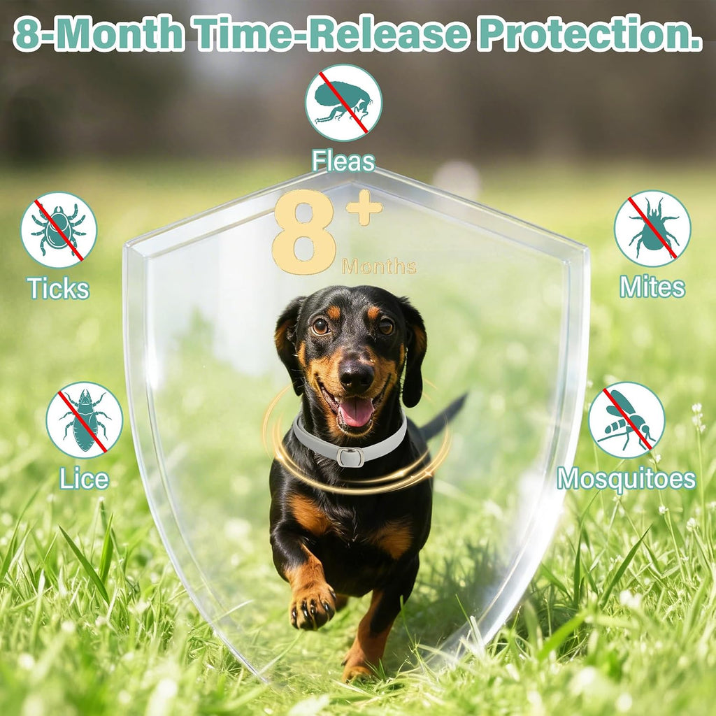 Adjustable natural essential oil flea collar for dogs