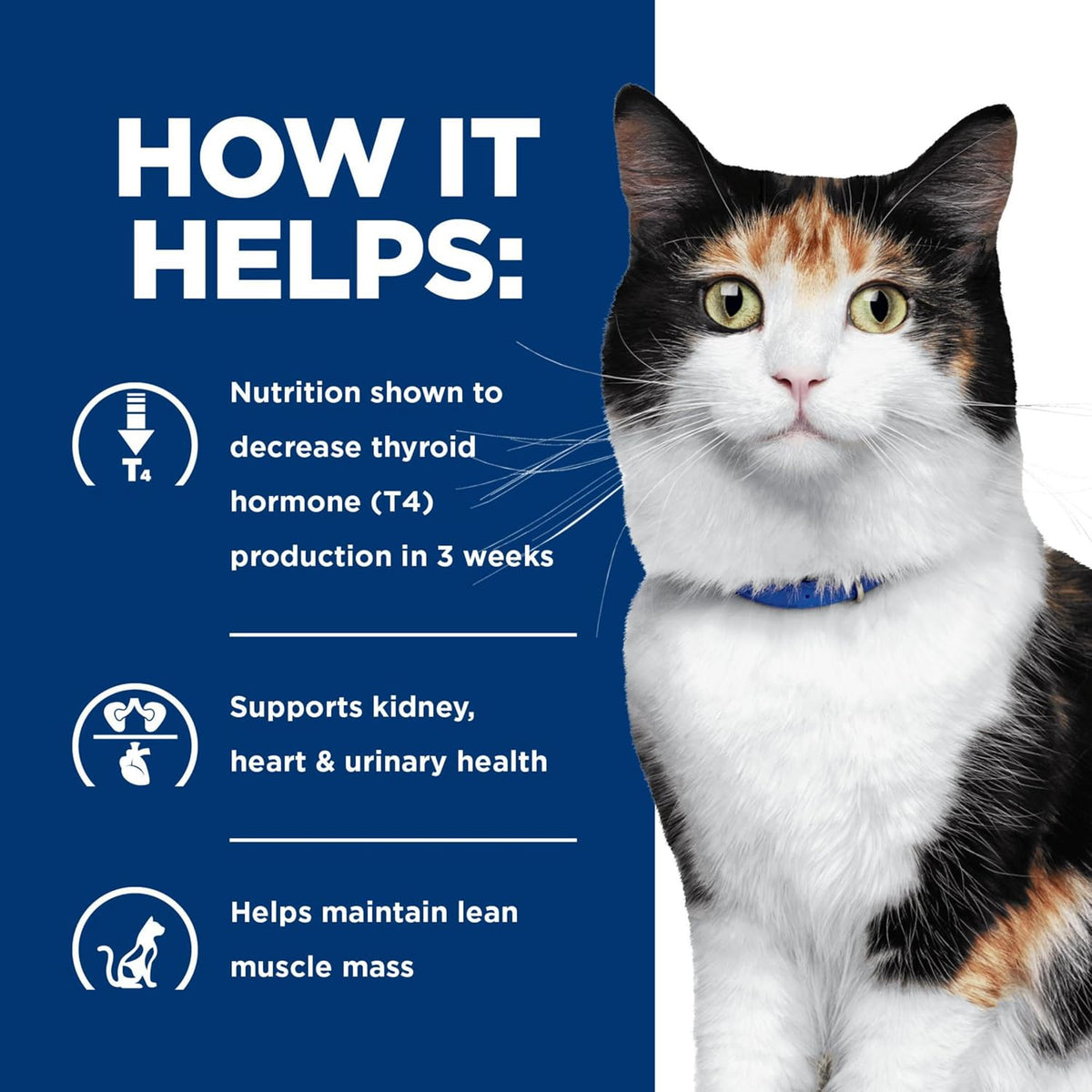 Hills Prescription Diet cat food case packaging overview