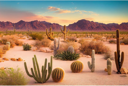 OHIOCATII Desert Reptile Habitat Background front view showing Sahara sand dunes and cacti for terrarium decoration.