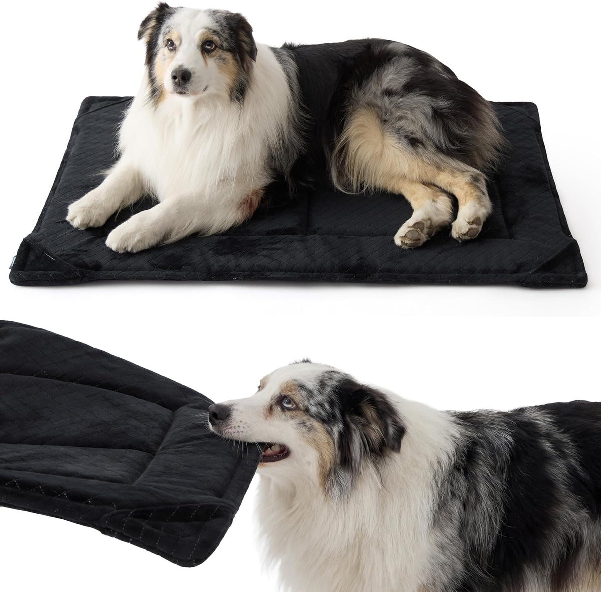 Bedsure Chew Resistant XL Dog Bed front view in black