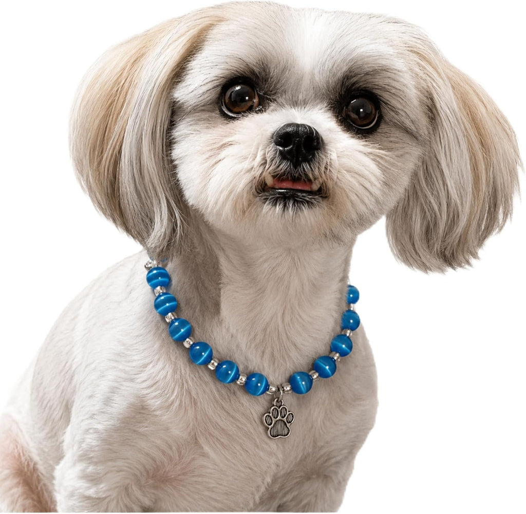 Hidden Hollow Beads Adjustable Beaded Pet Collar front view showing blue shimmering beads and silver paw print charm