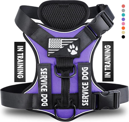 Demigreat small size service dog harness laid flat showing straps