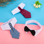 Set of three Shappy pet ties for small breeds