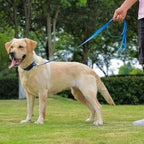 Premium imported Kidding Pets leash for wet weather walks