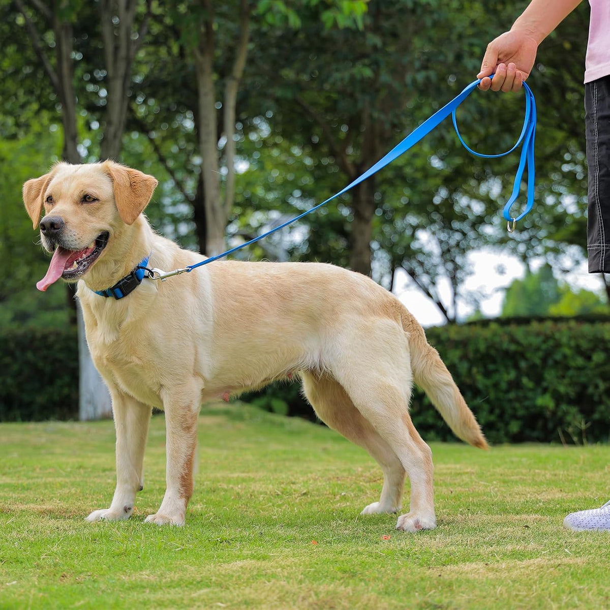 Premium imported Kidding Pets leash for wet weather walks