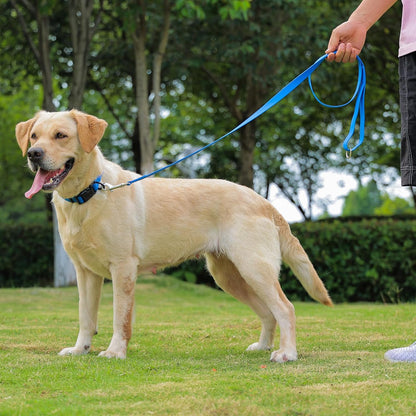 Premium imported Kidding Pets leash for wet weather walks