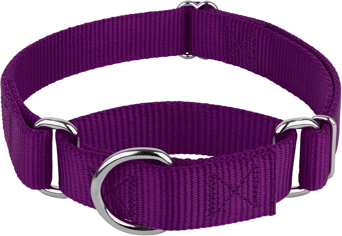 Country Brook Petz - Martingale Dog Collar - Heavy-Duty Training Collar with No Buckle - Service Dog Collar for All Pups - 20 Vibrant Colors (Lavender, 1 Inch, Medium) - Image 10