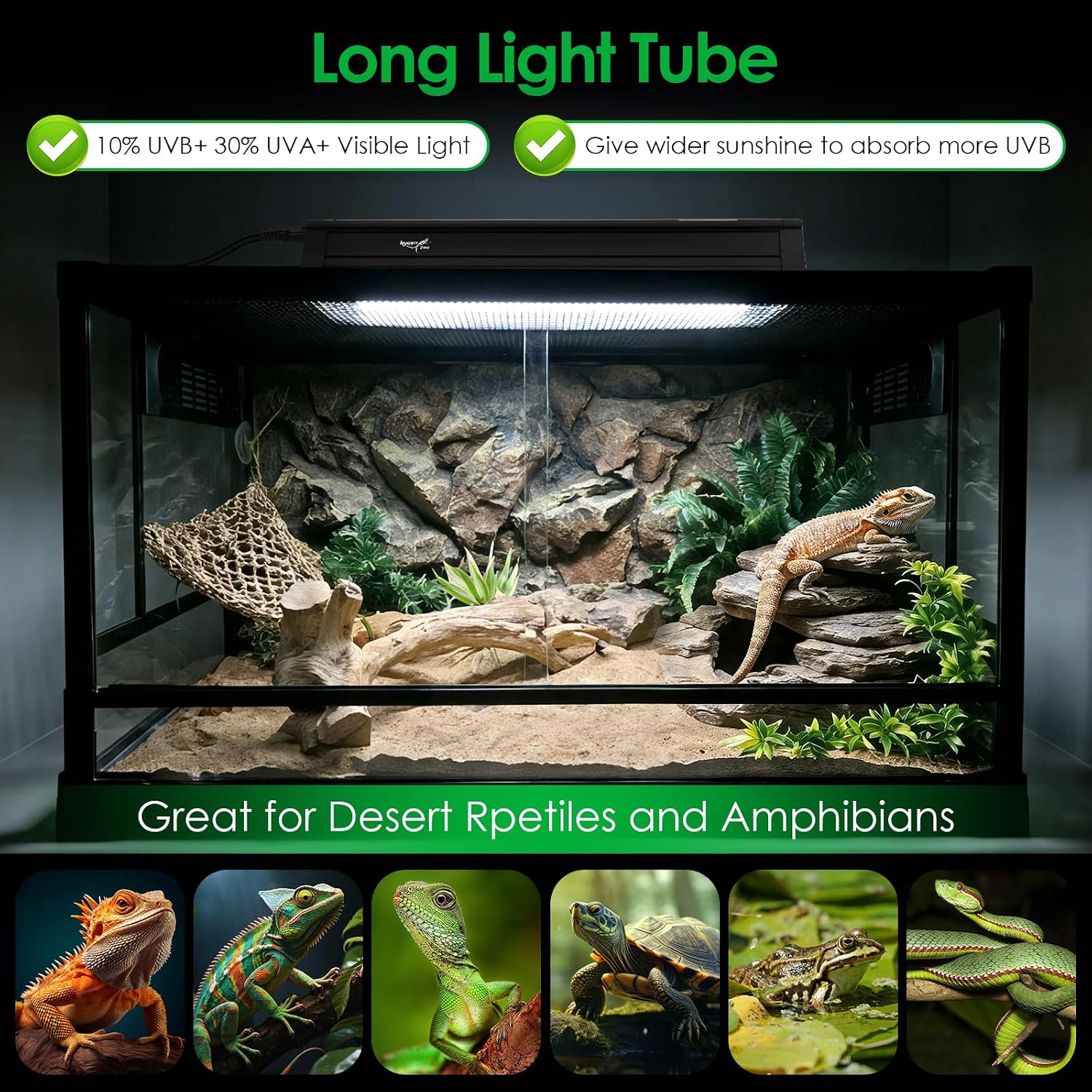 Hygger Zoo eight watt reptile lighting combo kit displaying the included desert ten point zero fluorescent tube lamp.