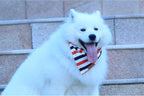USA imported patriotic theme pet outfit accessories for large dogs