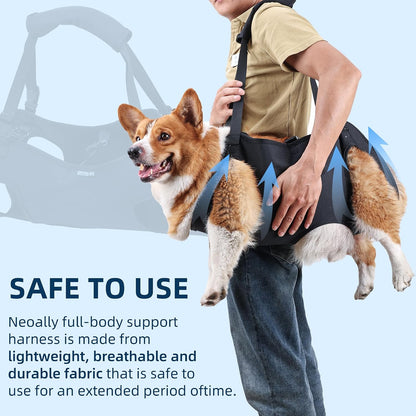 Close up of Eledume dog lift harness adjustable straps