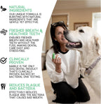 Close up of mint flavored oral gel for dog teeth