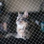 Cat Netting for Balcony, Cat Netting Anti-Fall Mesh Fence, Anti Bird Netting for Garden/Balcony, Transparent Nylon Pet Mesh Fence for Dogs & Cat, Pet Safety Net for Balcony/Stairs/Window - Image 10