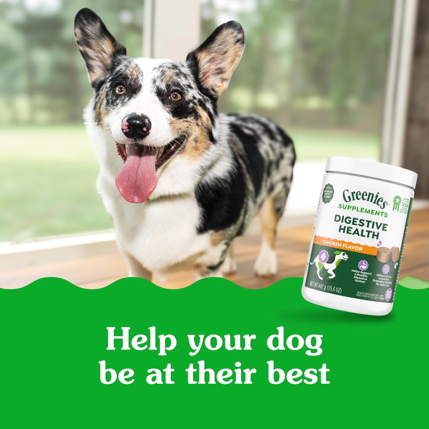 Greenies Supplements Digestive Health Probiotics for Dogs, Dog Probiotic Supplements, Chicken Flavor, 15.6 oz. Pouch of 80 Count - Image 10