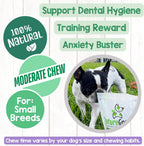 USA imported organic beef pizzle dog dental treats close up view