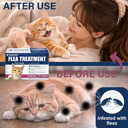 Capstar non topical flea medication for cats close up view of tablet blister pack