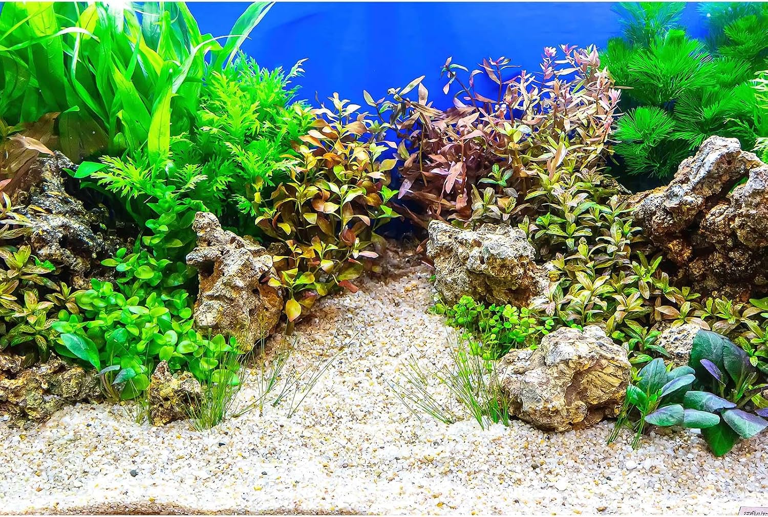 Underwater Fish Tank Background Under The Sea Cave Style Aquarium Background Ocean Floor Cave Sunlight Fish Tank Backdrop Tropical Fish Aquarium Terrarium Backgrounds Decorations 48x20in - Image 9