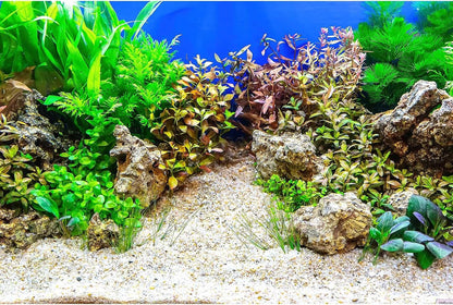 Underwater Fish Tank Background Under The Sea Cave Style Aquarium Background Ocean Floor Cave Sunlight Fish Tank Backdrop Tropical Fish Aquarium Terrarium Backgrounds Decorations 48x20in - Image 9