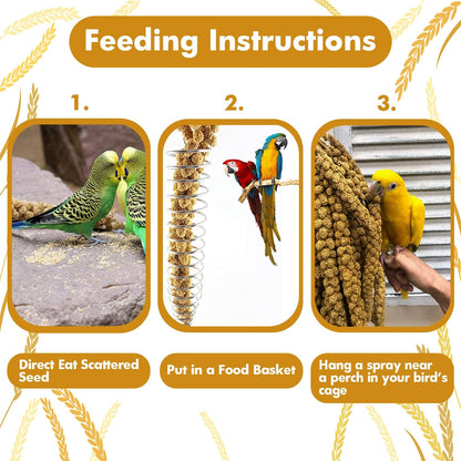 Bird enjoying natural spray millet treat