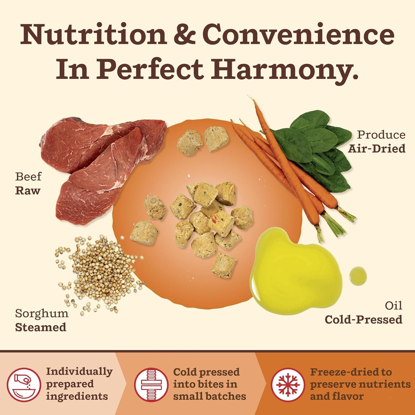 Back label of Primal Kibble in the Raw Beef featuring whole food ingredients list and feeding guidelines.