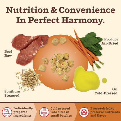 Back label of Primal Kibble in the Raw Beef featuring whole food ingredients list and feeding guidelines.