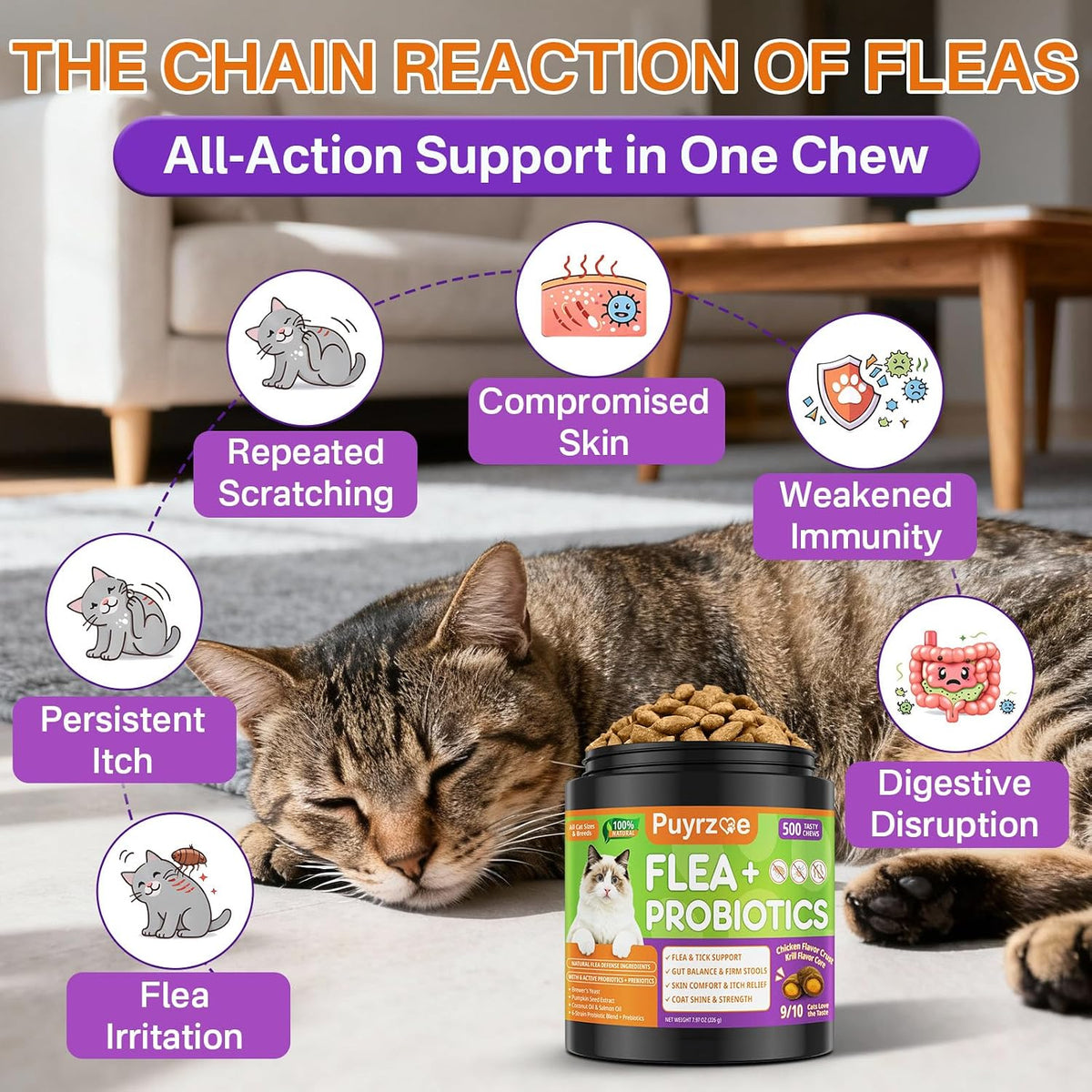 Puyrzoe daily itch relief skin and coat care cat crunchy bites