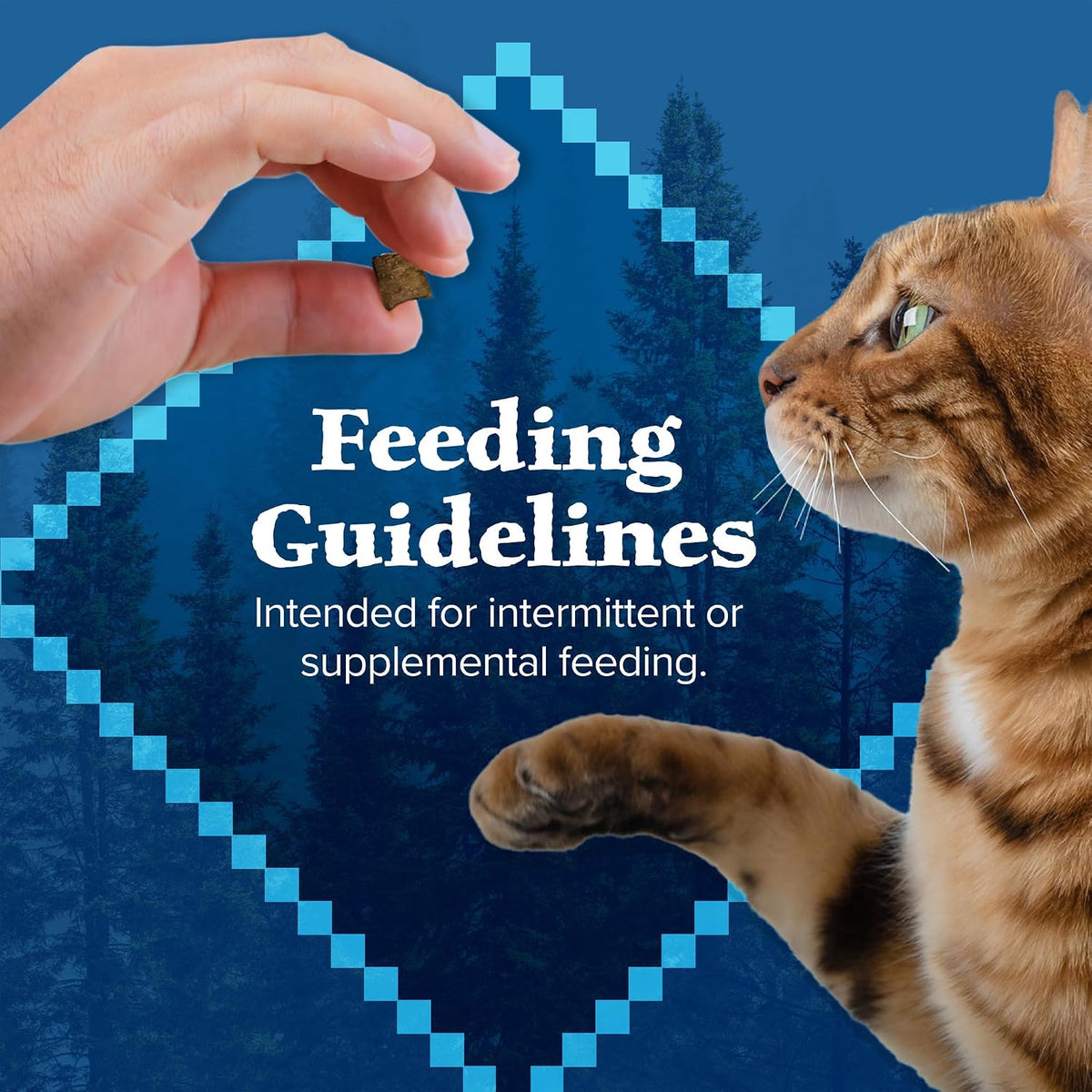 Blue Buffalo Wilderness Soft Cat Treats, Made with Natural Ingredients, Chicken & Trout Recipe, 2-oz Bag - Image 9