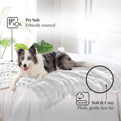 Small dog lounging comfortably on the ultra soft modern threads pet protector.