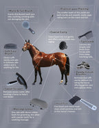 Full range of 11 equine care brushes for daily horse grooming.