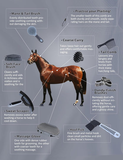 Full range of 11 equine care brushes for daily horse grooming.