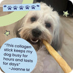 Pawstruck Natural 5-7" Beef Collagen Braids for Dogs - Healthy Long Lasting Alternative to Traditional Rawhide & Bully Sticks Chew Treats w/Chondroitin & Glucosamine - 5 Count - Packaging May Vary - Image 9