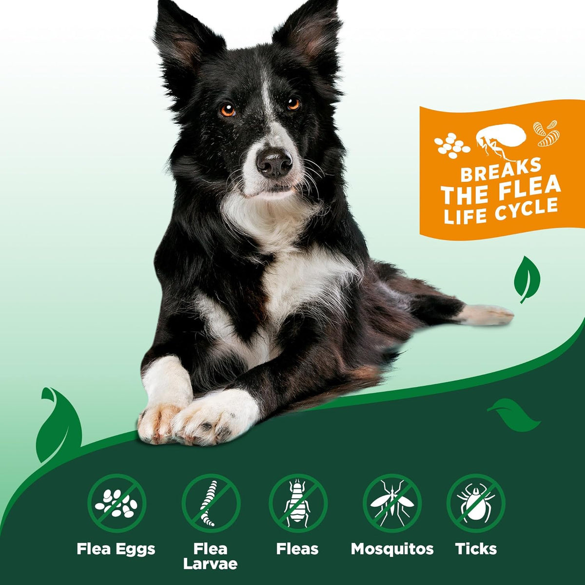 Vet's Best Indoor Flea and Tick Spray - Dog Flea and Tick Treatment for Home, Plant-Based Formula with Natural Oils, Kills Fleas, Eggs & Ticks on Contact, Made in USA, 32 oz - Image 4